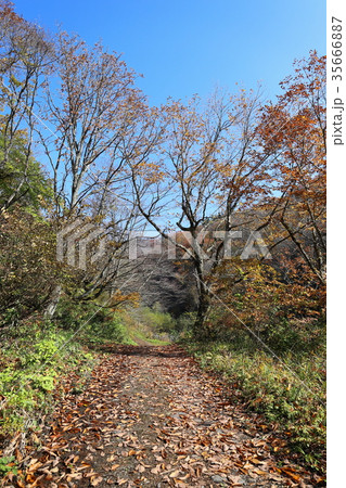 刈込池 トレッキング（福井県 大野市 ハイキング） 35666887