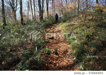 刈込池 トレッキング（福井県 大野市 ハイキング） 35666895