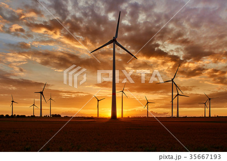 windpark in sunset 35667193