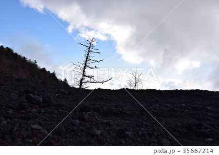 富士山の山肌/Mountain Surface of Mt. Fuji 35667214