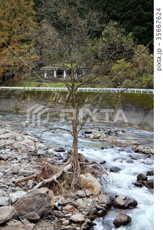 初冬の岨谷峡 35667624