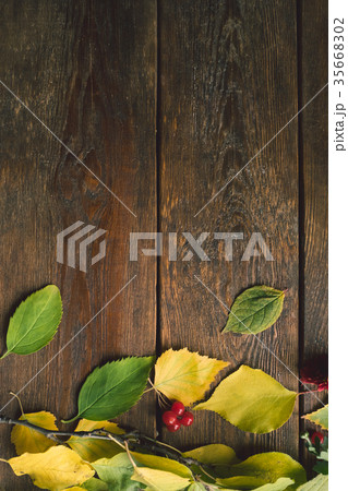Autumn leaves on the rough wooden surface 35668302