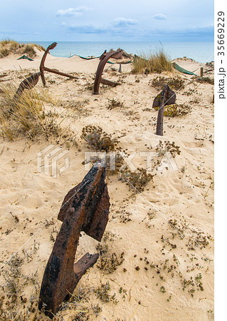 Natural Cemetery of Marine Anchors at Barril Beach Natural Cemetery of Marine Anchors at Barril Beach 35669229