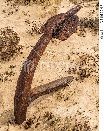 Natural Cemetery of Marine Anchors at Barril Beach 35669242