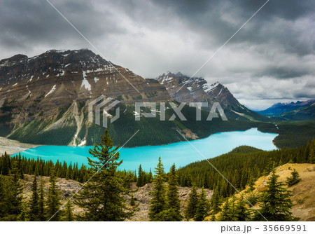 Panorama of Peyto Lake in the Canadian Rocky 35669591