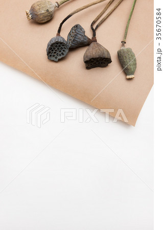 Decorative background of dried up poppyheads 35670584