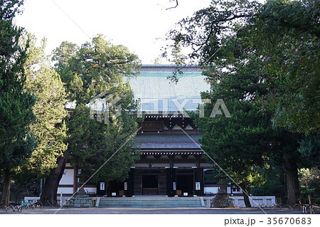 鎌倉市　円覚寺　Engakuji-temple 35670683