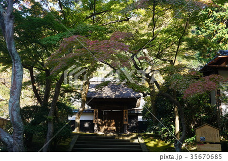 鎌倉市　円覚寺　Engakuji-temple 35670685