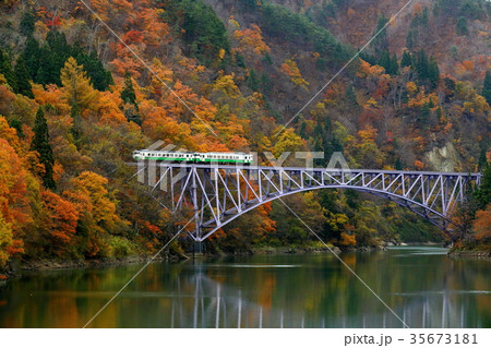 紅葉の中を走る只見線 35673181