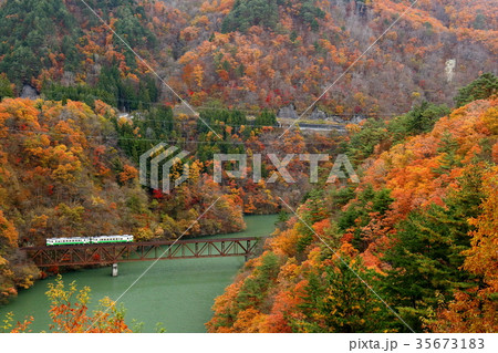 紅葉の中を走る只見線 35673183