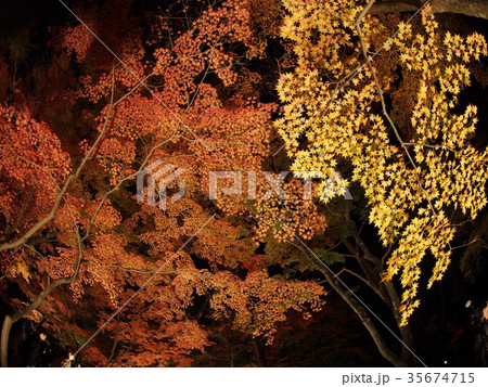 長瀞紅葉まつり 長瀞紅葉まつり 35674715
