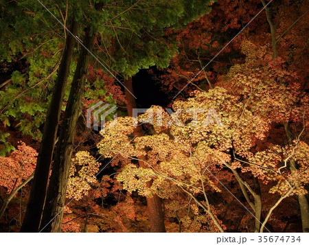 長瀞紅葉まつり 35674734