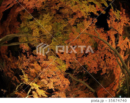 長瀞紅葉まつり 35674740