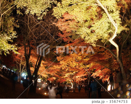 長瀞紅葉まつり 長瀞紅葉まつり 35674753