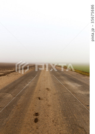 Asphalt road 35675686
