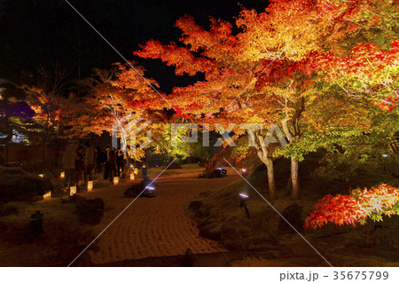 松島、円通院のライトアップ 35675799