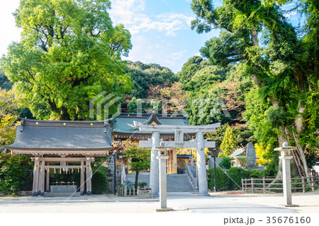 春日神社春日の杜 35676160