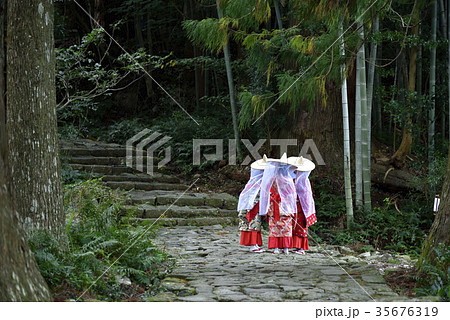 熊野古道 大門坂 (和歌山県 那智勝浦町) 熊野古道 大門坂 (和歌山県 那智勝浦町) 35676319