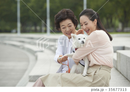 感情 動物 保護者 35677313