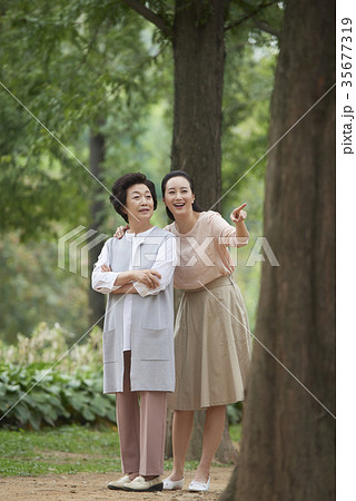 感情 高齢者 老人 35677319