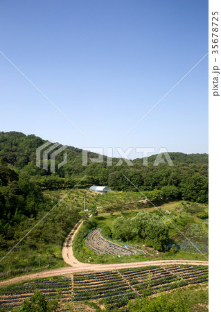 酸 観光地 石垣 35678725