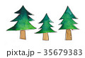 モミの木 35679383