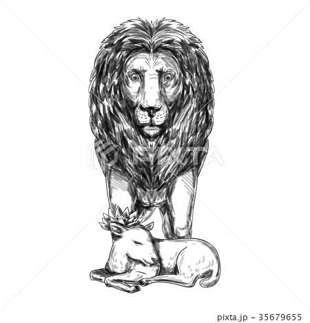 Lion and the Lamb Lion and lamb Lion head tattoos King art Lion Cross  HD phone wallpaper  Pxfuel