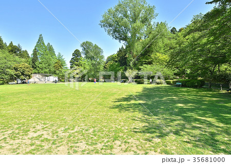 茂原公園 35681000