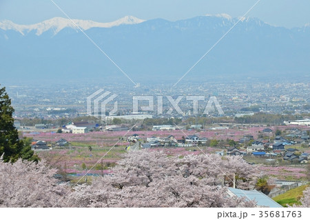 南アルプスと満開の桃の花の風景 笛吹市 35681763