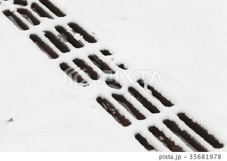 sewer grate 35681978