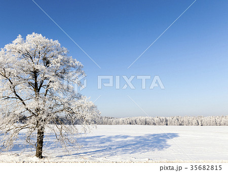 Winter season. Photo Winter season. Photo 35682815