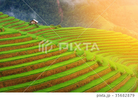 Scenery of rice fields and terrace at Mu Cang Chai Scenery of rice fields and terrace at Mu Cang Chai 35682879