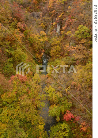 雪割渓谷の紅葉 #9 雪割渓谷の紅葉 #9 35682953