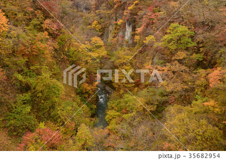 雪割渓谷の紅葉　　＃10 35682954