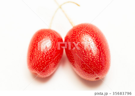 ビックリグミ ビックリグミ 35683796