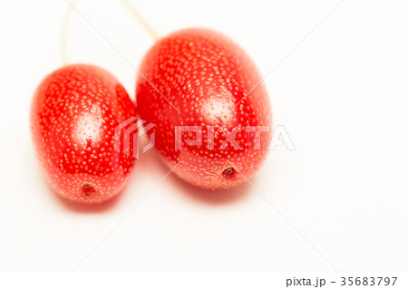 ビックリグミ 35683797