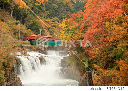 富士急行と紅葉の田原の滝 35684315