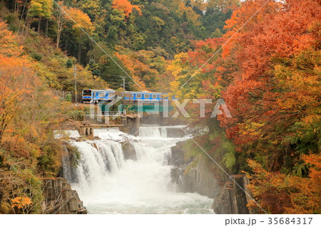 富士急行と紅葉の田原の滝 35684317