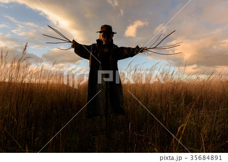 Scary scarecrow in a hat 35684891