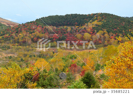 登山道から見た樋沼 35685221
