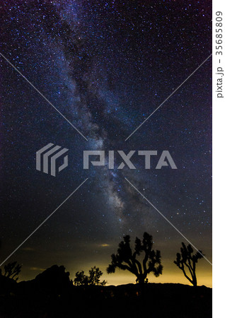 The Milky Way over Joshua Tree National Park The Milky Way over Joshua Tree National Park 35685809