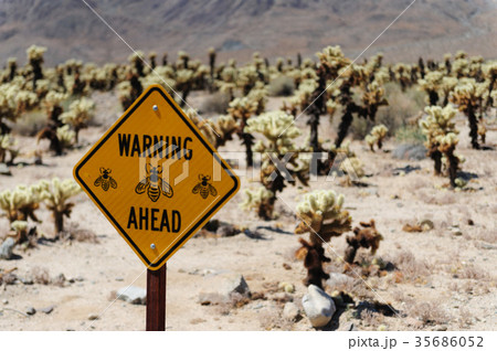 Bee Warning Sign 35686052