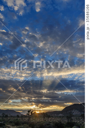Sunrise over Joshua Tree National Park Sunrise over Joshua Tree National Park 35686166