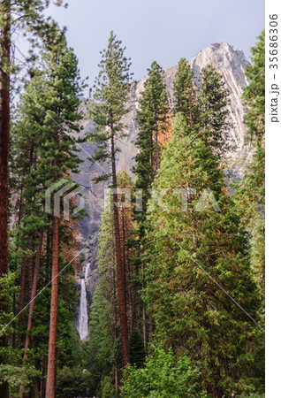 Upper and Lower Yosemite Falls Upper and Lower Yosemite Falls 35686306