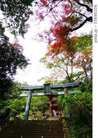 秋の大平山神社 35690108