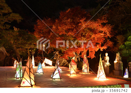 紅葉 35691742