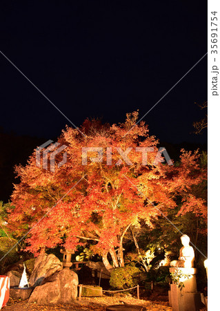 紅葉 紅葉 35691754