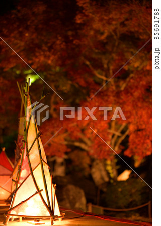 紅葉 紅葉 35691783