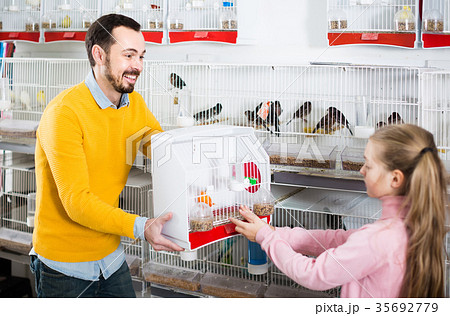 man seller demonstrating canary bird in cage to girl in pet shop man seller demonstrating canary bird in cage to girl in pet shop 35692779