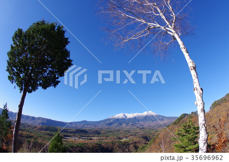 信州木曽　九蔵峠より晩秋の御嶽山（おんたけさん）と白樺　超広角　庶民の信仰を集める山岳信仰の山 35696962